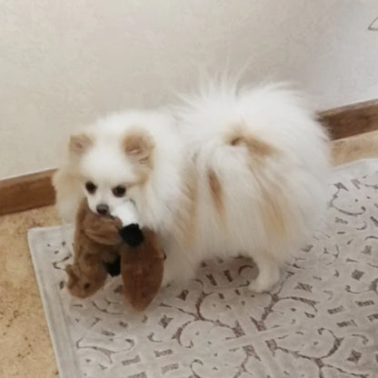 Plush Animal Squeaky Dog Chew Toy