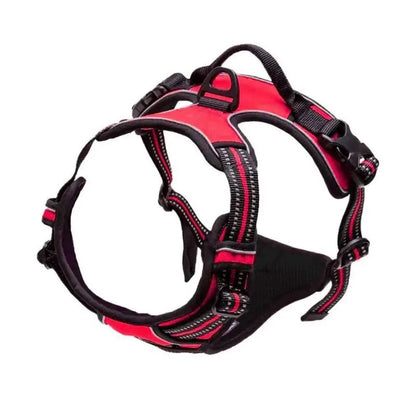 Premium Leather Walking Set