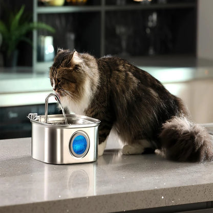 3.2L Stainless Steel Pet Fountain