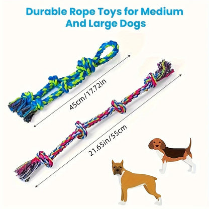 Durable Knot Dog Chew and Tug Toy