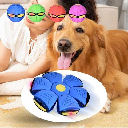 Flying UFO Bounce Dog Ball