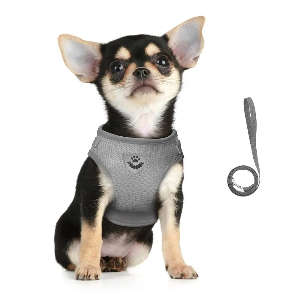 Reflective Mesh Cat and Dog Harness Set