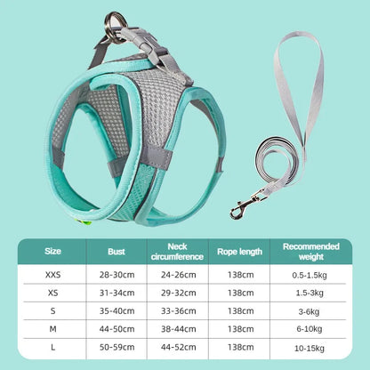 Adjustable Puppy and Cat Harness Set