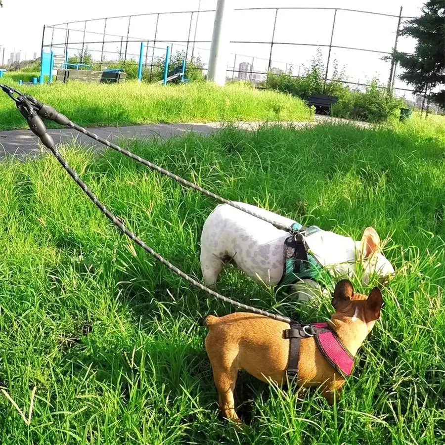 No-Tangle Dual Dog Leash