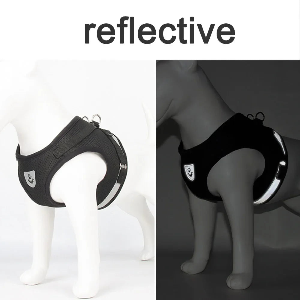 Reflective Mesh Cat and Dog Harness Set