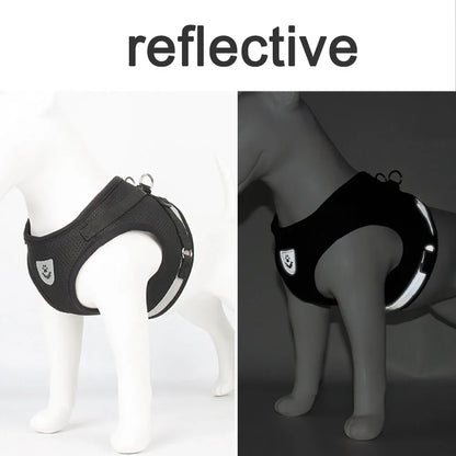 Reflective Mesh Cat and Dog Harness Set