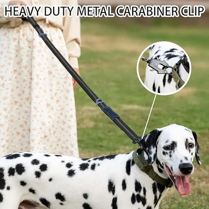 Reflective Shock-Absorbing Dog Leash