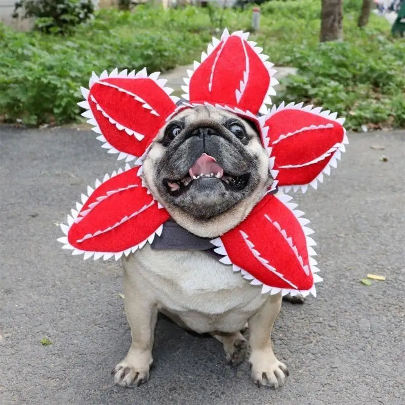Funny Scary Flower Pet Hat