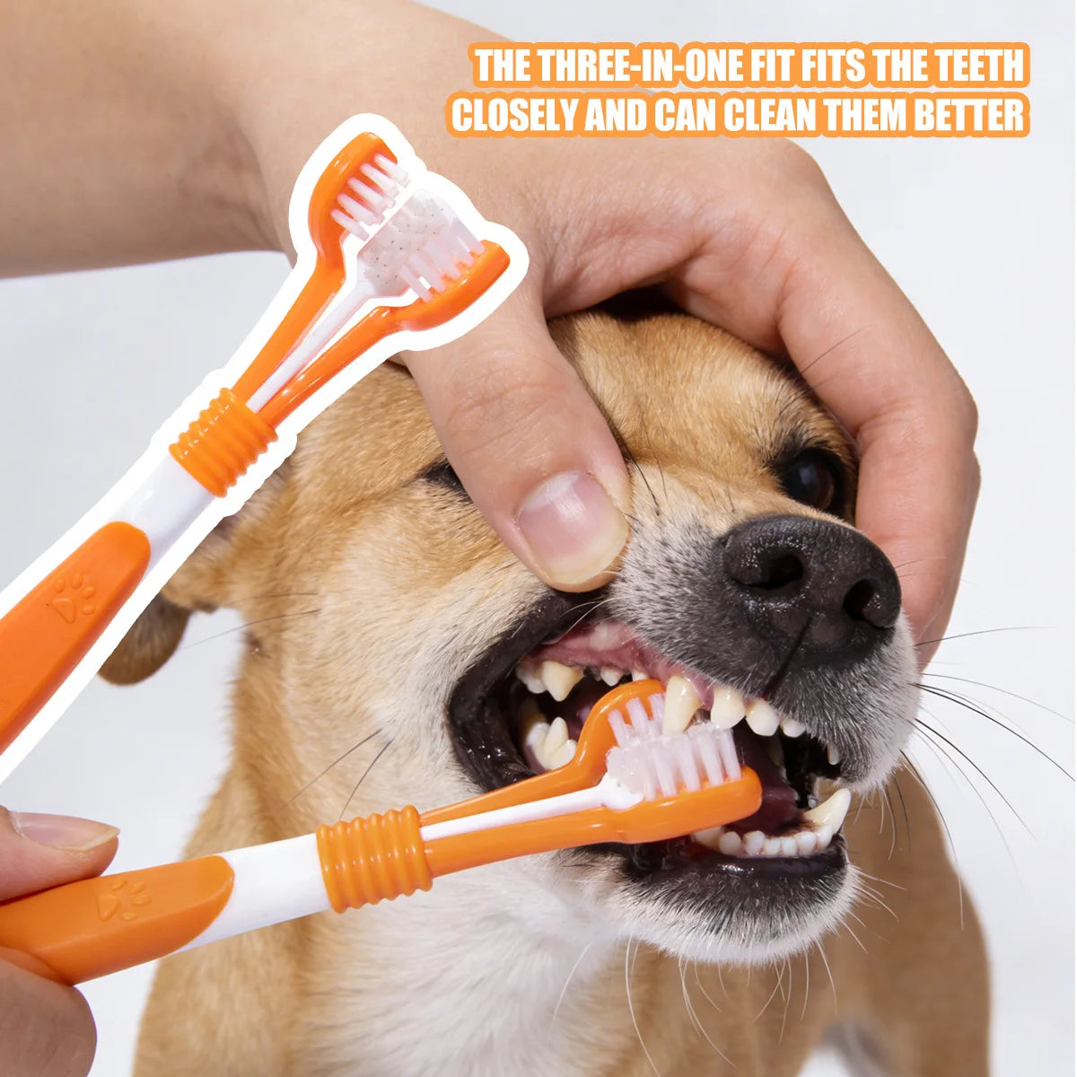 3-Sided Pet Toothbrush