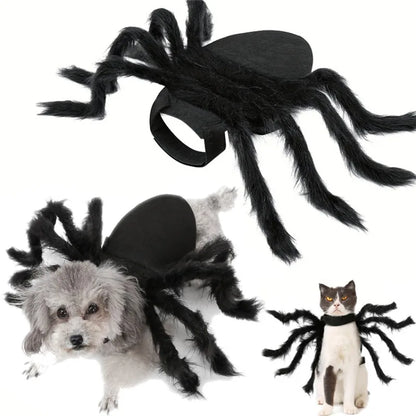 Halloween Spider Pet Costume