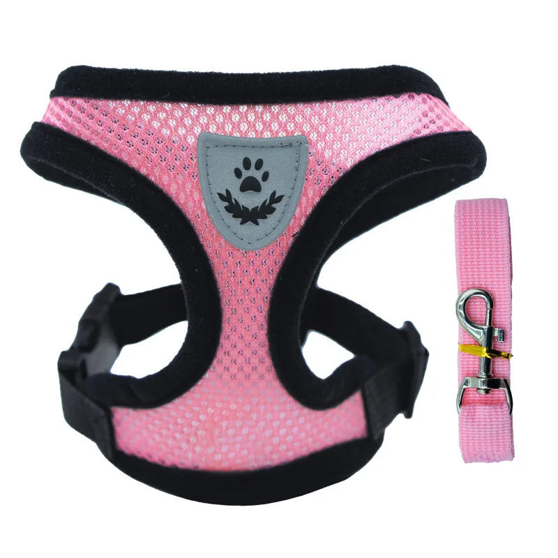 3D Air-Mesh Walking Set
