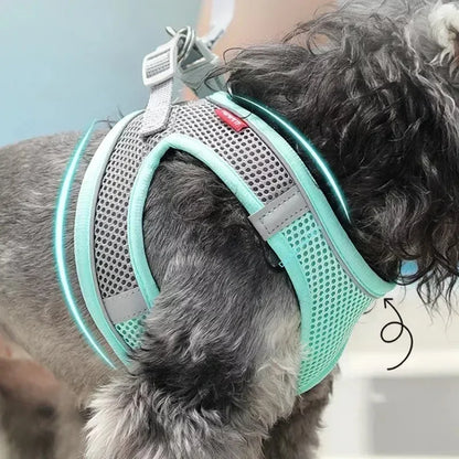 Adjustable Puppy and Cat Harness Set