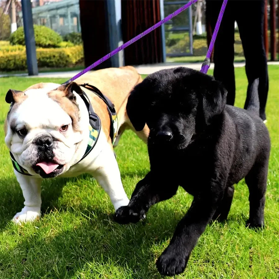 No-Tangle Dual Dog Leash