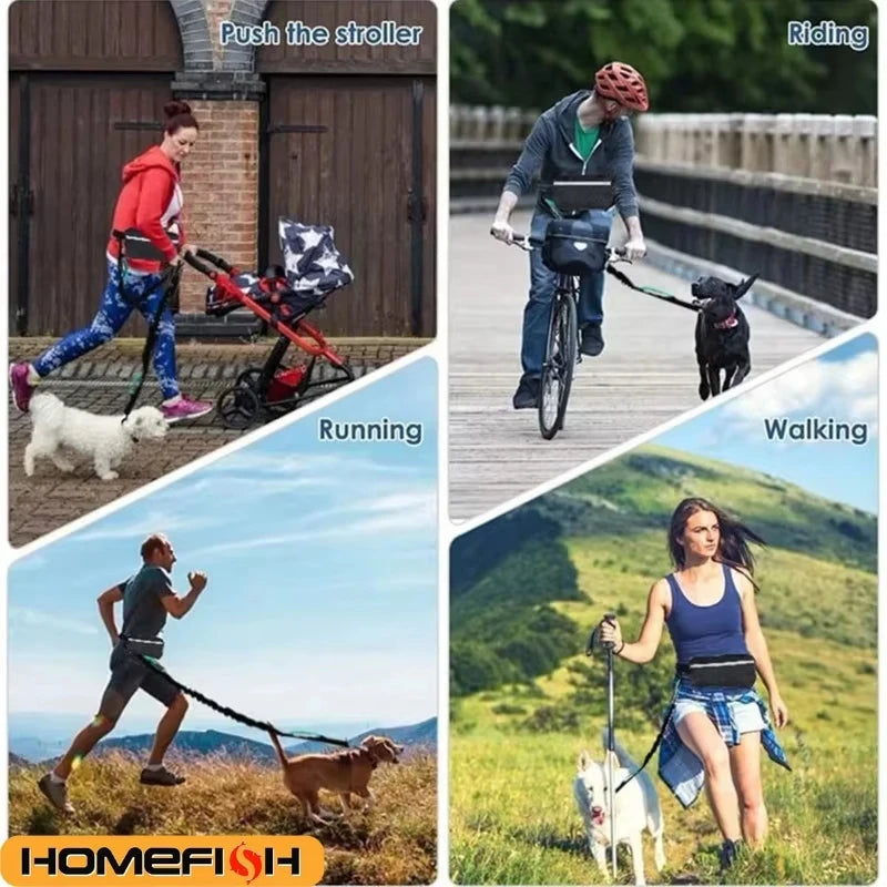 Hands-Free Reflective Dog Leash with Waist Bag