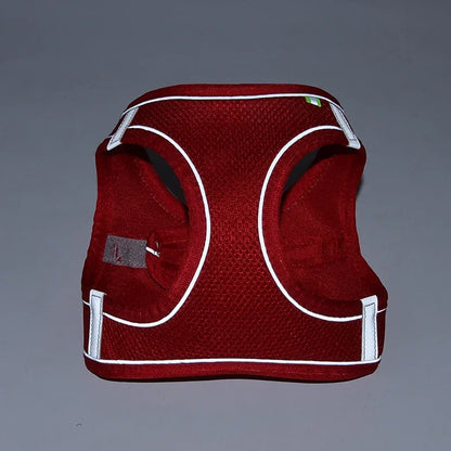 Adjustable Puppy and Cat Harness Set