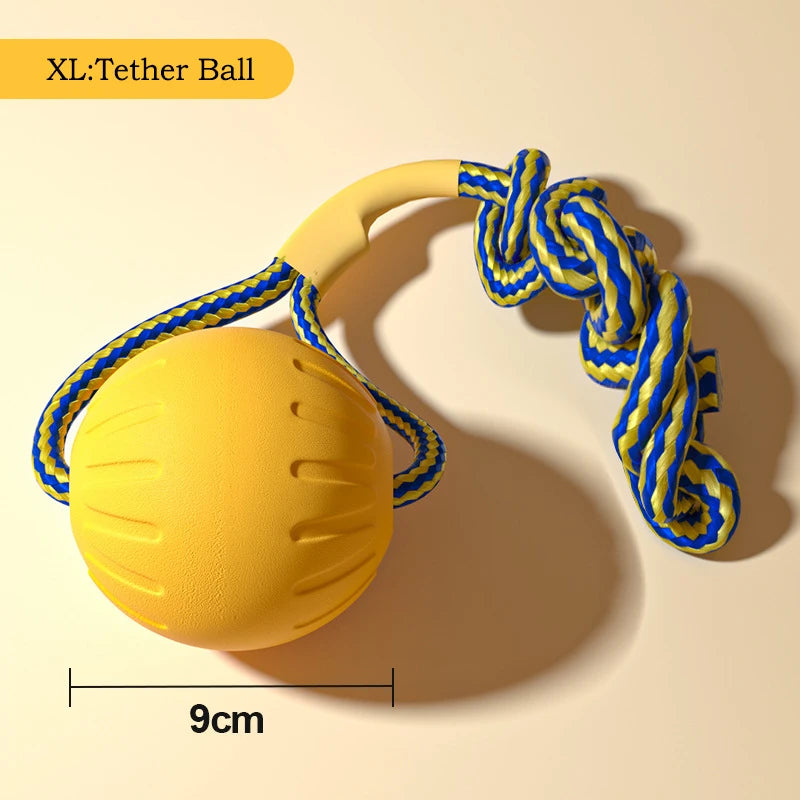 4-Pack EVA Dog Toy Set