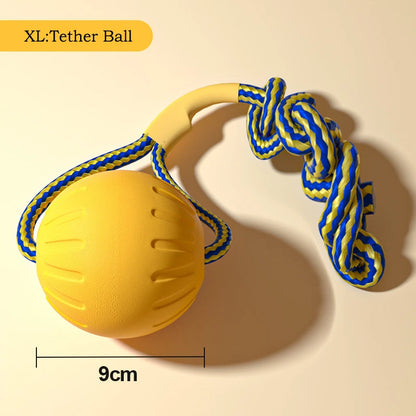 4-Pack EVA Dog Toy Set