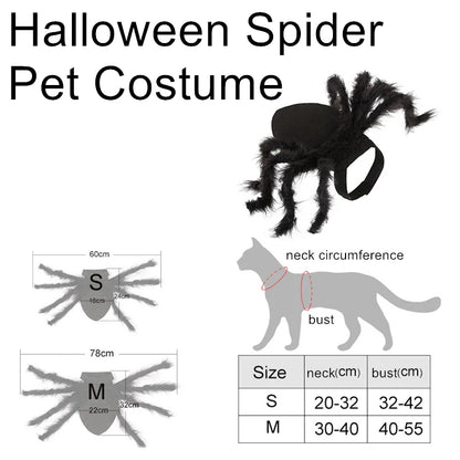 Halloween Spider Pet Costume