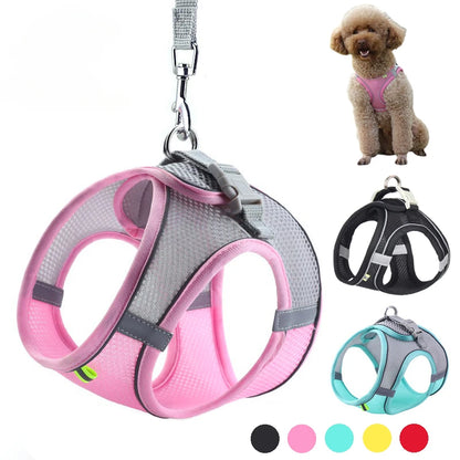 Adjustable Puppy and Cat Harness Set