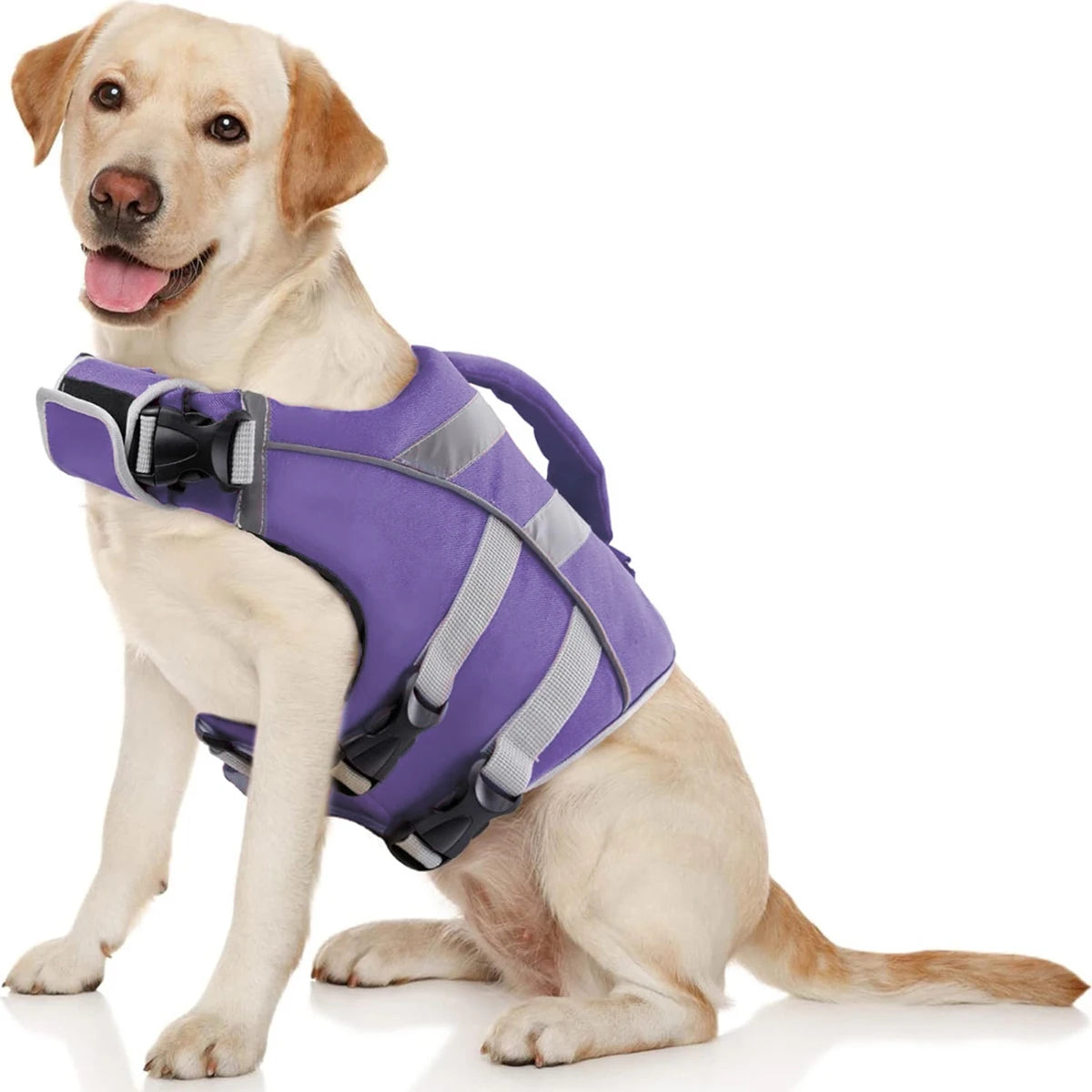 Reflective Dog Life Jacket