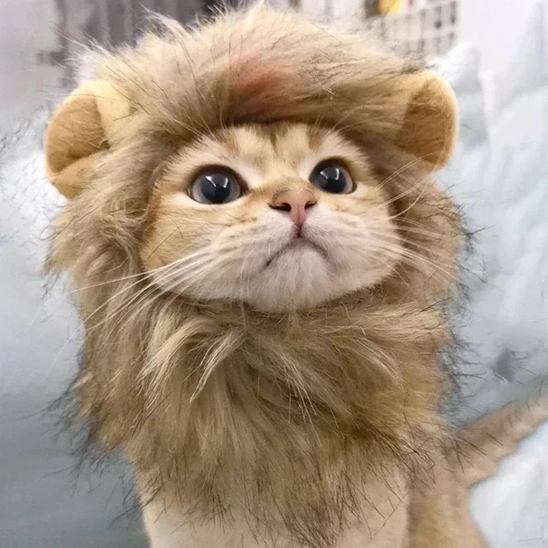 Lion Mane Cat Costume Hat