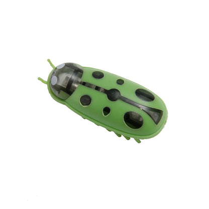 Mini Electric Bug Cat Toy