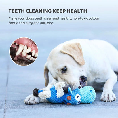 Plush Squeaky Dog Toy