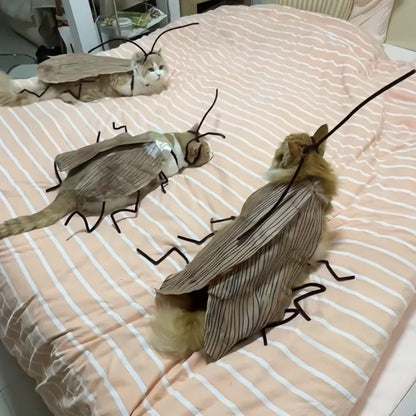 Cockroach Cat Costume with Wings