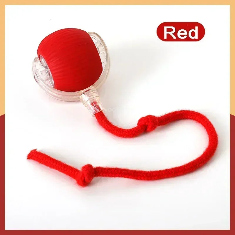 Smart Rolling Ball