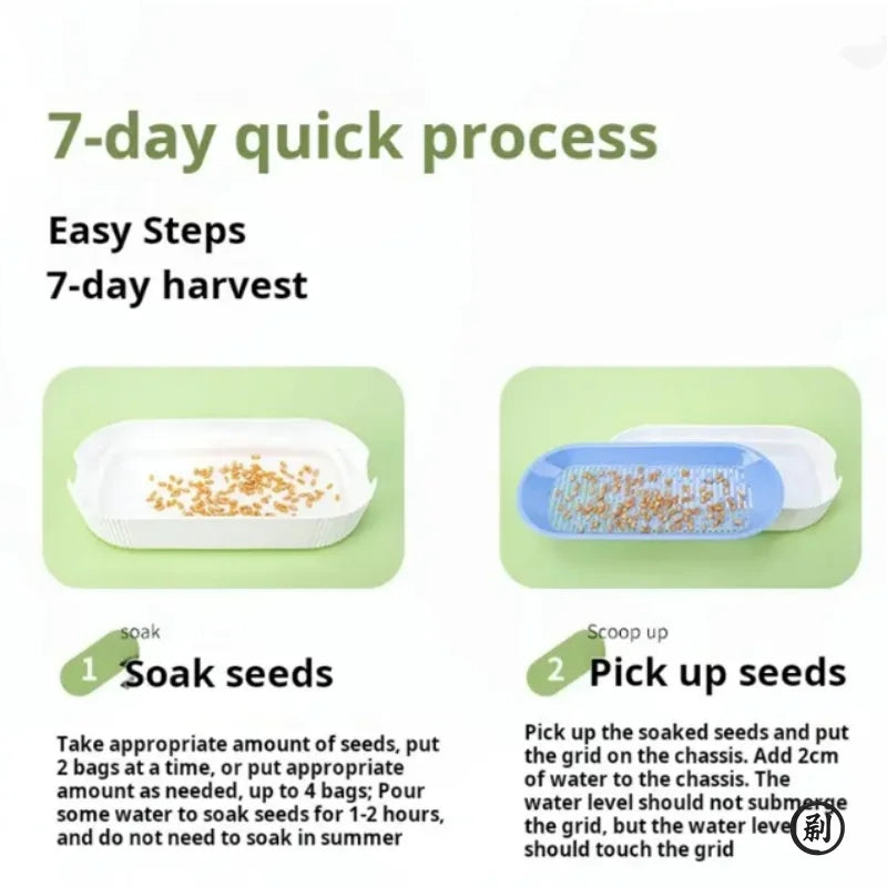 Hydroponic Cat Grass Grow Kit