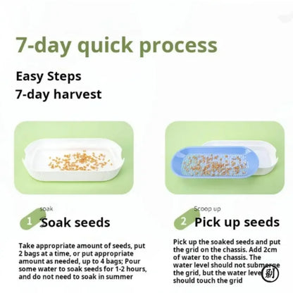 Hydroponic Cat Grass Grow Kit