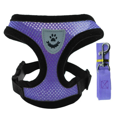 3D Air-Mesh Walking Set
