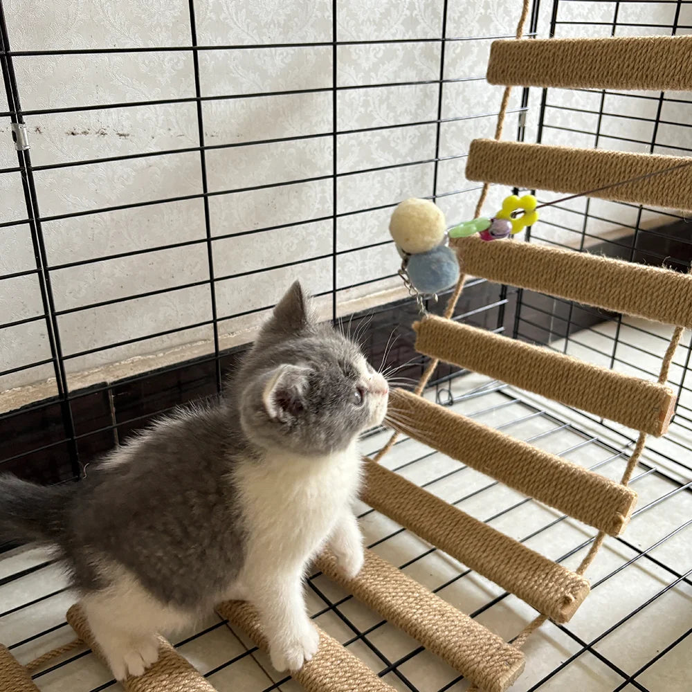 Sisal Cat Climbing Ladder Bridge