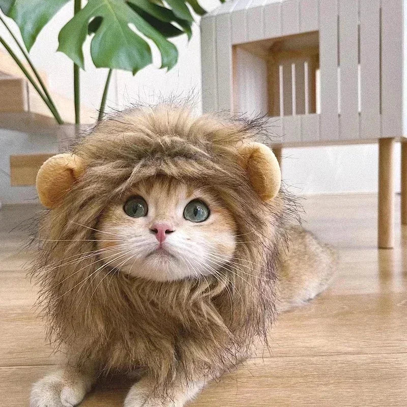 Lion Mane Cat Costume Hat