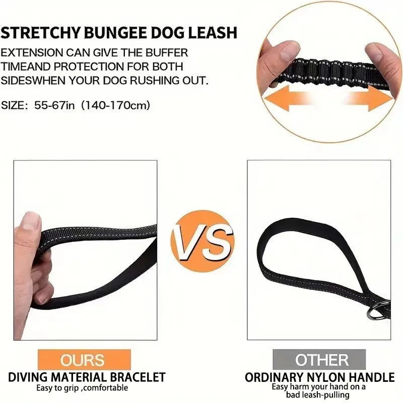 Heavy-Duty Dog Leash with Traffic Handle