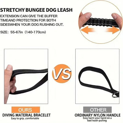 Heavy-Duty Dog Leash with Traffic Handle