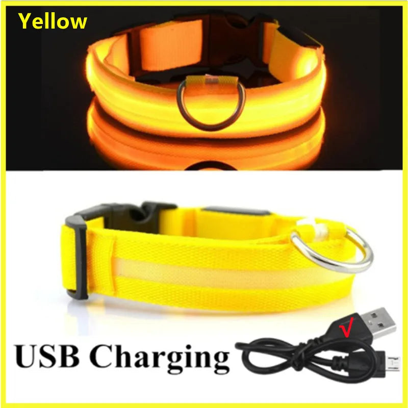 LED Light-Up Dog Collar