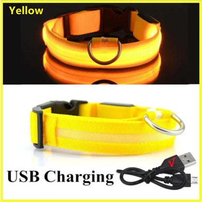 LED Light-Up Dog Collar