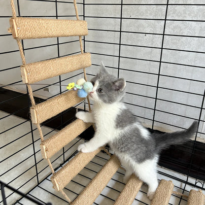 Sisal Cat Climbing Ladder Bridge