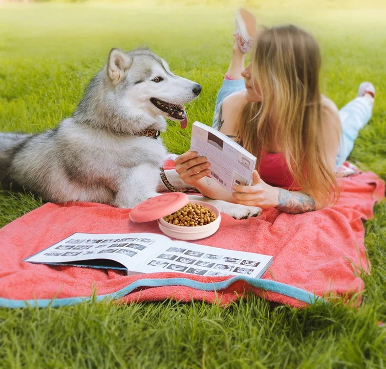 Portable Travel Pet Bowl with Treat Box