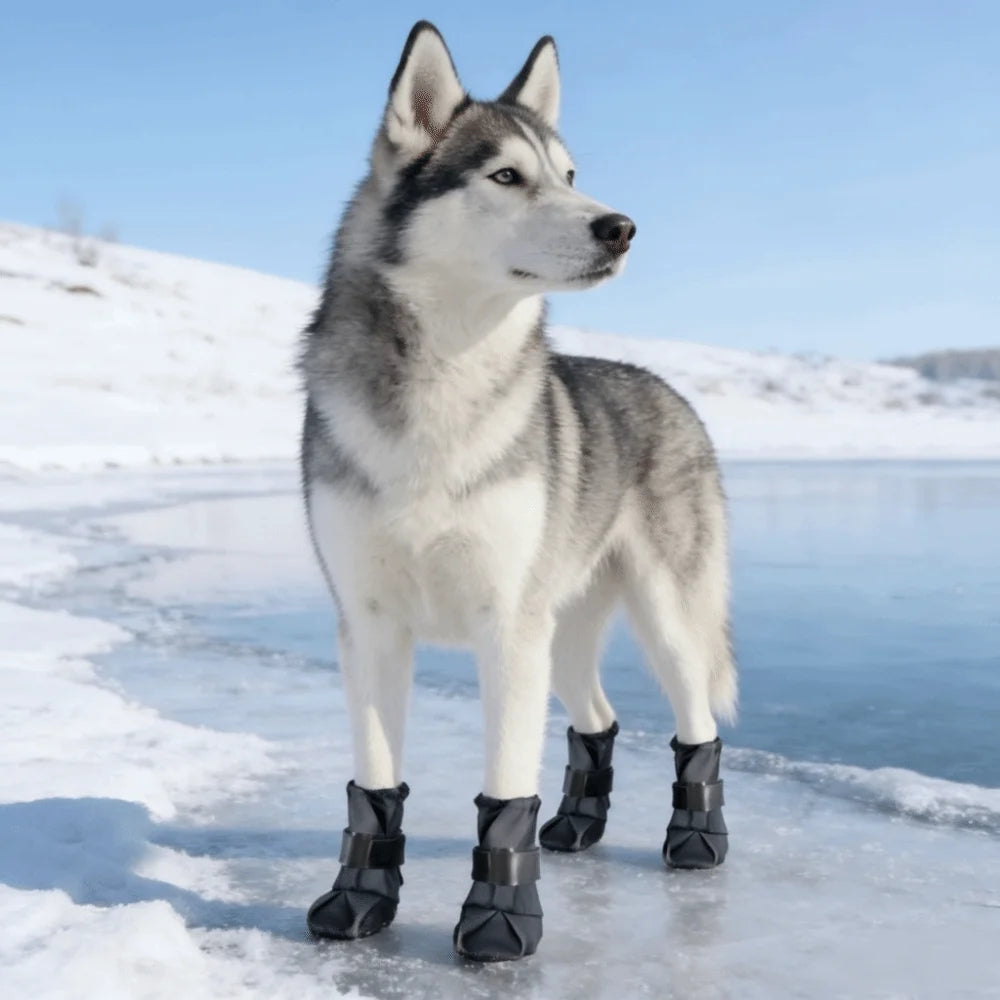 Waterproof High-Top Dog Shoes, 4-Pack