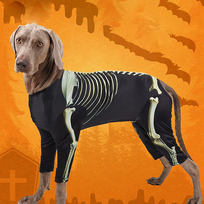 Dog Halloween Skeleton Costume