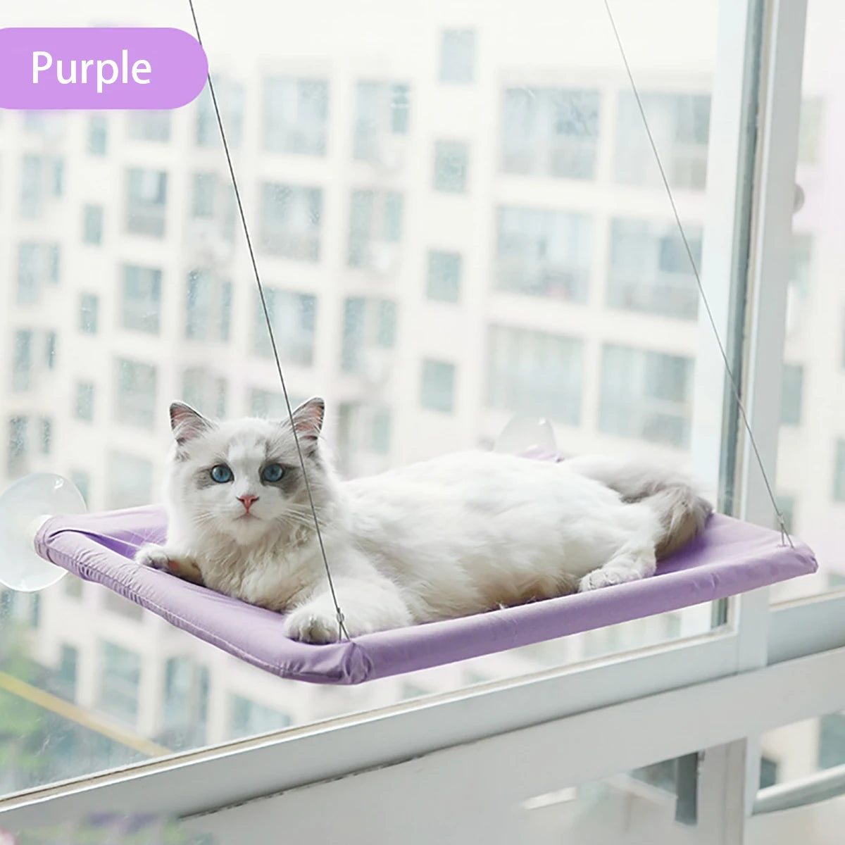 Cat Window Hammock Perch