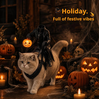 Headless Horseman Cat Costume