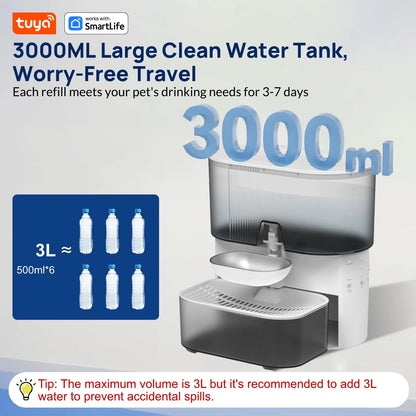 3L Timed Cat Water Fountain