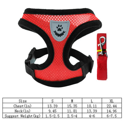 3D Air-Mesh Walking Set