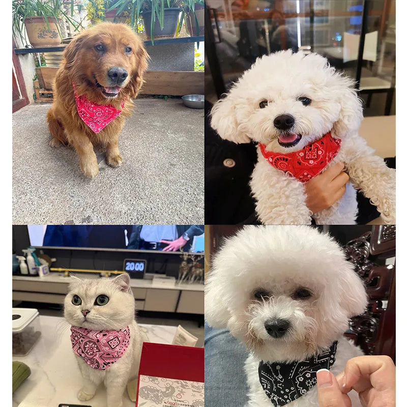 Adjustable Pet Bandana Scarf