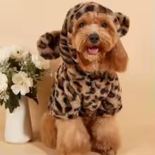 Leopard Hooded Dog Jumper