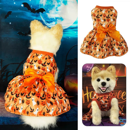 Pumpkin Print Dog Halloween Dress