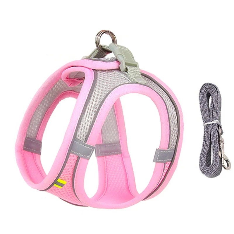Adjustable Puppy and Cat Harness Set